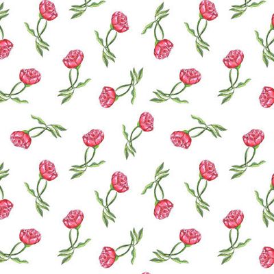 Цветок акварельного пиона.