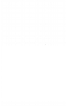 Fürstlich Württembergisch Dienerbuch. Vom Ix. Bis Zum XIX. Jahrhundert | Württembergisch Dienerbuch