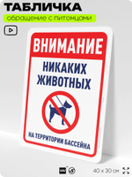 Табличка "Внимание, никаких животных на территории бассейна" на дверь и забор, для двора, дома, подъезда, 40х30 см, Silver Plane x Айдентика Технолоджи