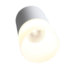 ST100.502.10 Светильник потолочный Белый LED 1*10W 3000K 780Lm Ra&gt;80 120° D78xH135 170-240V Накладные светильники