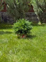 Туя-Шар искусственная (Литая хвоя) 40 см \ 70 см