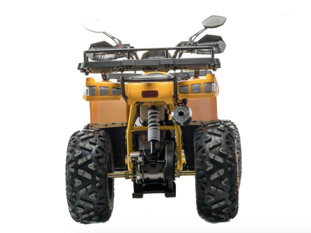 Квадроцикл 200 ALL ROAD X