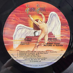 Винтажная виниловая пластинка LP Robert Plant Pictures At Eleven (USA 1982)