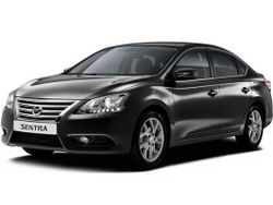 Упор (амортизатор) капота для Nissan Sentra B17 (2014-2019) Autoinnovation.01-11
