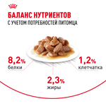 Royal Canin Appetite Control Care Аппетайт Контроль Кэа Корм влажный для взрослых кошек соус 85г