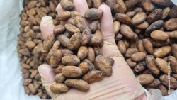 Эсмиральдас