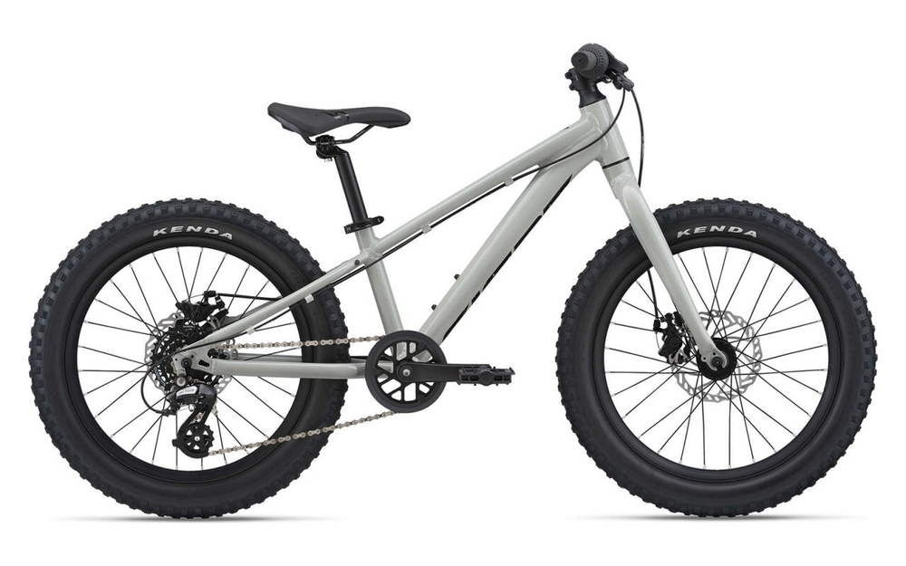 Детский велосипед Giant STP 20 (2022)