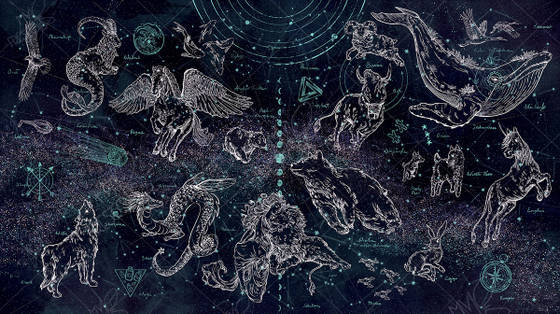 Коллекция MF0704