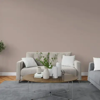 Краска интерьерная PARITET Теплый Какао 2,5 л