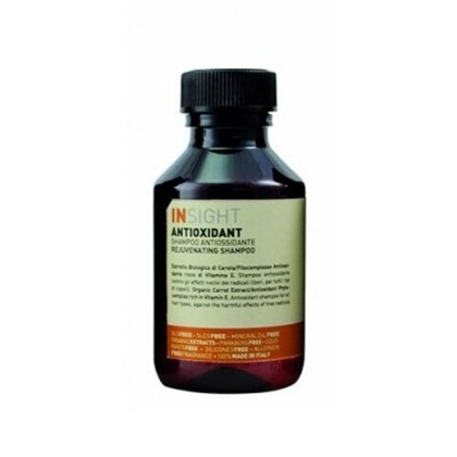 Шампунь для защиты и омоложения волос ANTIOXIDANT, 100 мл