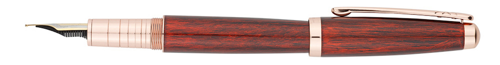 Перьевая ручка Pierre Cardin Majestic PCX755FP-RG