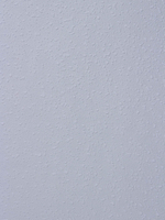 Обои Rasch Wallton 177423