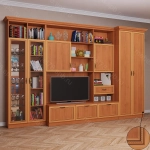 Стенка Венеция 5