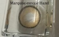 Натуральные медовые цветные линзы Marquise essvase Hazel / Для темных и светлых глаз / 12 месяцев