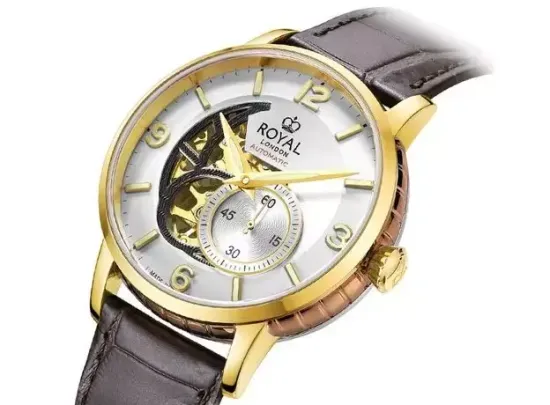 Мужские часы Royal London 41400-03