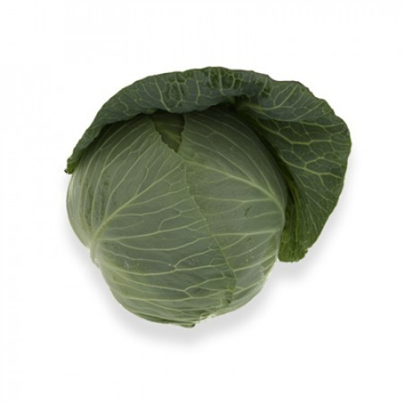 Такома F1 семена капусты белокочанной – фото 4