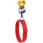 Ошейник для собак однотонный «ЗООЛЕНД БРО», цвет красный, 2,5*54см (бирка)