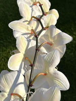 Орхидея фаленопсис белая 95 см