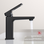 Смеситель для раковины Raglo R51.10.06, черный