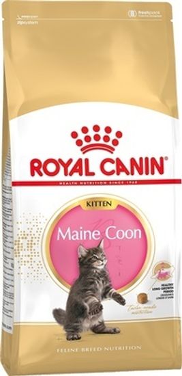 Royal Canin Kitten Main Coon для котят породы Мейн Кун Royal Canin Kitten Main Coon для котят породы Мейн Кун