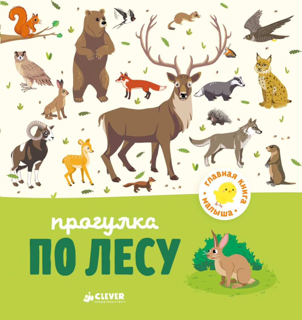 Главная книга малыша. Прогулка по лесу