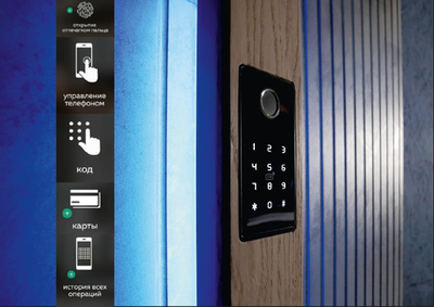 Комплект СКУД №3: Биометрический считыватель Dircode + электромоторный замок Dircode