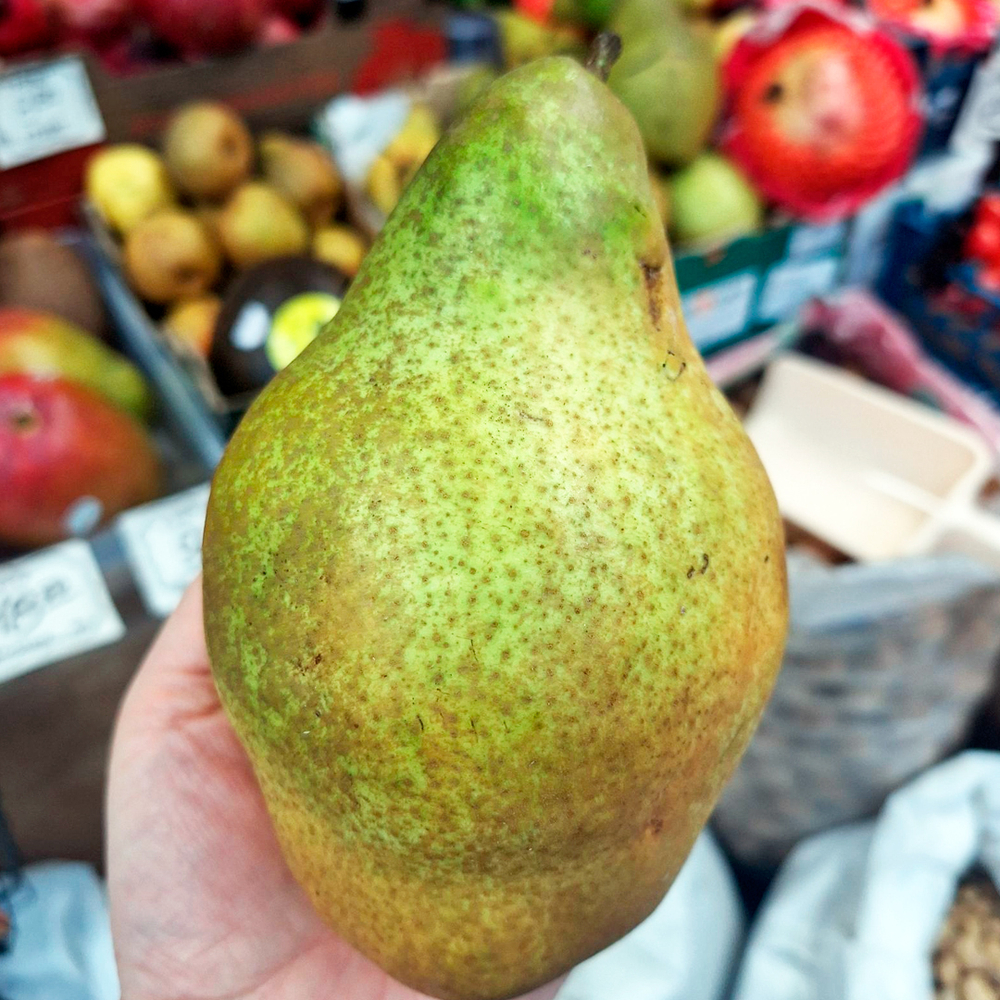 Груша Оксана