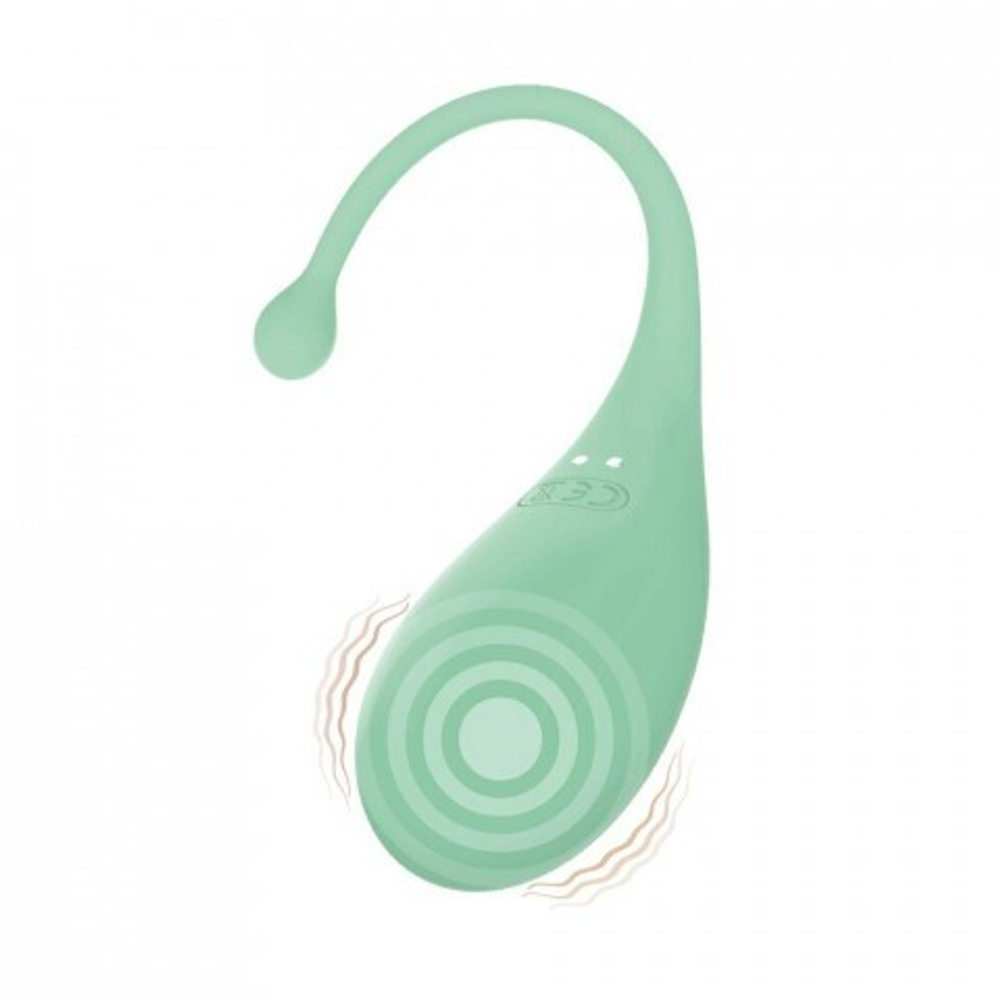 Виброяйцо Palpitation Mint от Adrien Lastic (синхронизация с приложением)