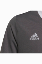 Футболка adidas Entrada 22 Junior