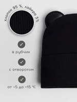 Шапка для мальчика осенняя с ушками