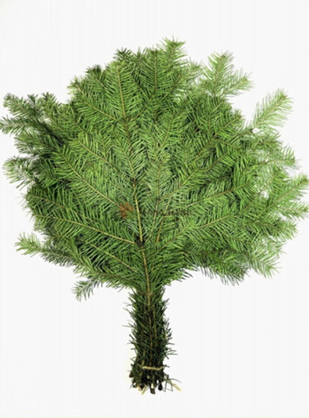 Веник пихтовый