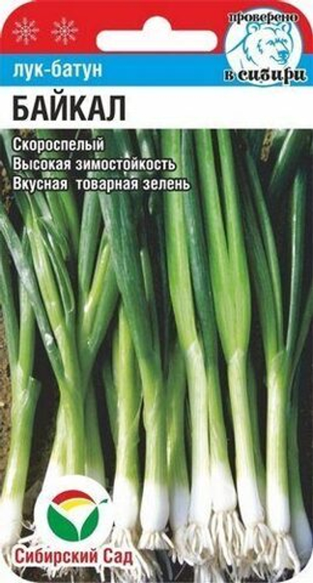 Лук батун Байкал 0,5гр СибСад