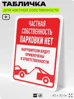 Табличка для частной территории "Частная собственность, парковки нет", на дом, для участка, организаций, предупреждающая, 40х30 см, Silver Plane x Айдентика Технолоджи