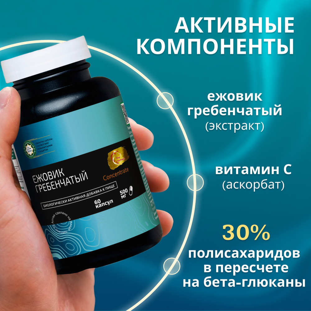 Концентрат Ежовик гребенчатый, 60 капсул