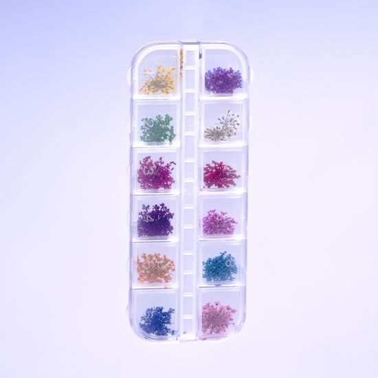 Сухоцветы в пластиковом контейнере 12 в 1