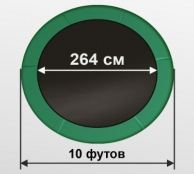 ARLAND Батут премиум 10FT с внутренней страховочной сеткой и лестницей (Dark green)