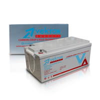 Аккумуляторная батарея VEKTOR ENERGY VPbC 12-200