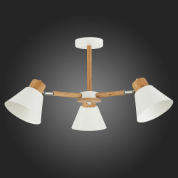 Светильник потолочный Evoluce Buve SLE103702-03