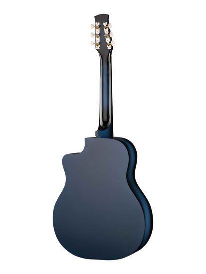 Акустическая гитара Ижевский завод Т.И.М 42C-BL