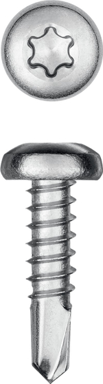 KRAFTOOL DS-P, 13 х 4.2 мм, А2, сверло, полукруглая головка, ТХ20, 600 шт, саморез нержавеющий (300931-42-013)
