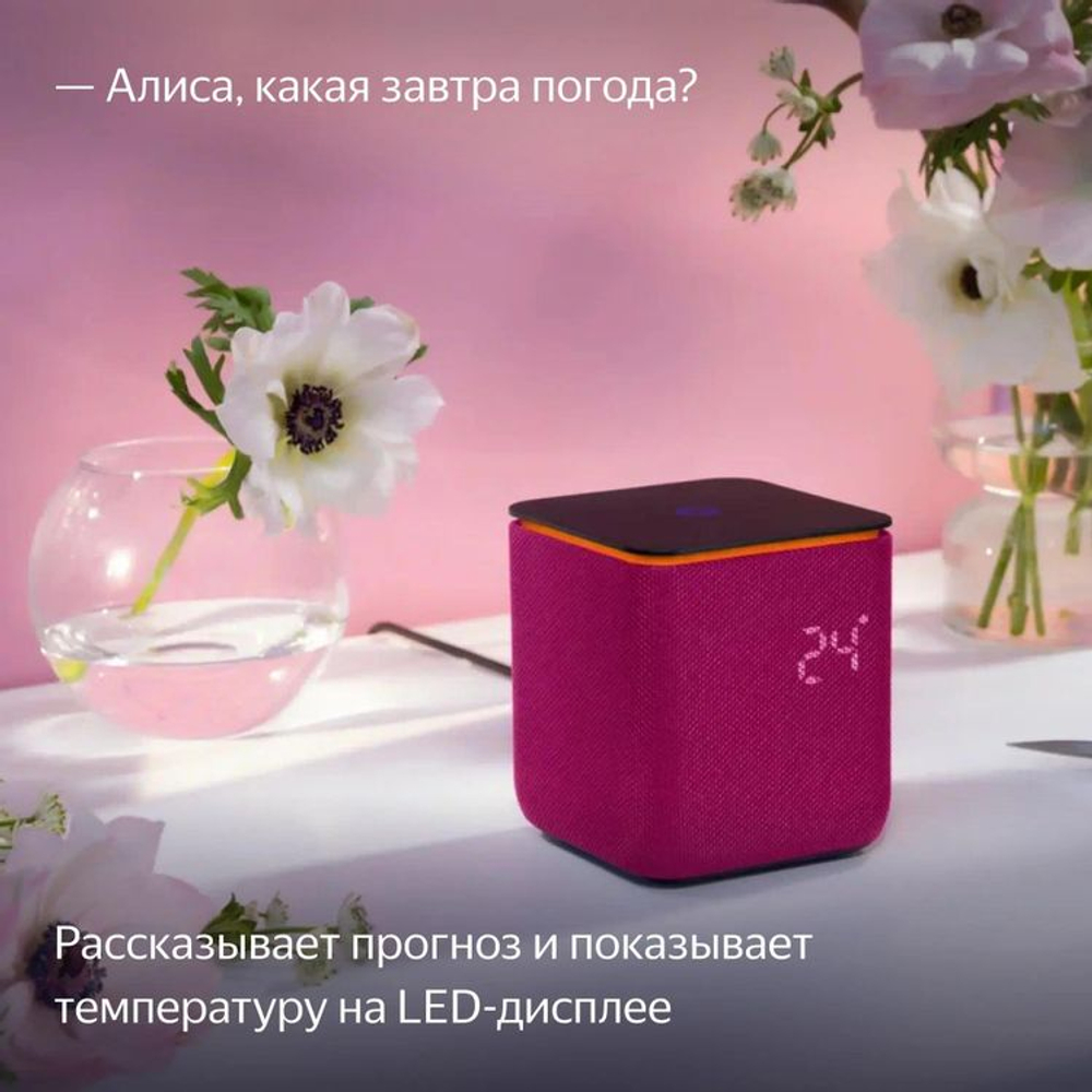 Умная колонка ЯНДЕКС Станция Миди 24Вт, с Алисой, малиновый [yndx-00054pnk]