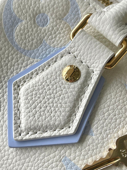 Louis Vuitton Speedy 20