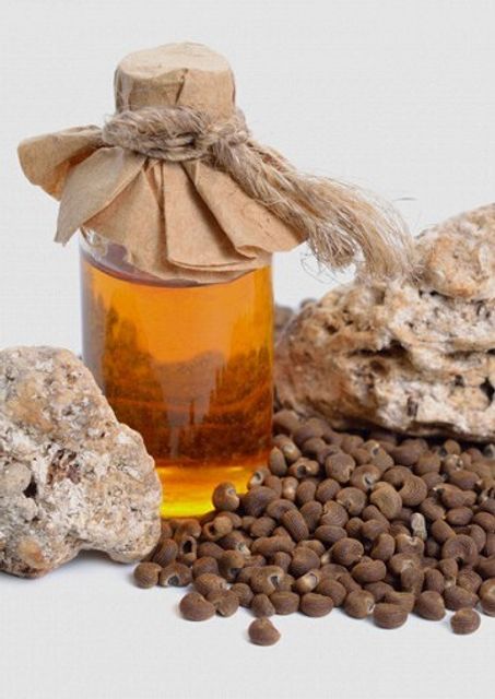 МУСКУС-АНИМАЛИКА