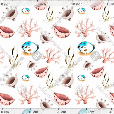 Акварельные ракушки и кораллы на белом фоне. by Daria Kotlubaeva  259 DPI