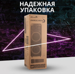 Колонка 10" (20-72 DANCE BOX 1300) динамик 2шт/12" ELTRONIC с TWS