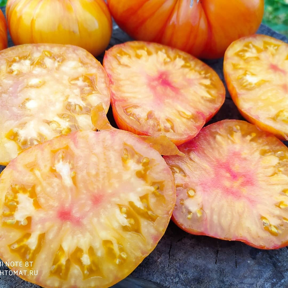 Большой оранжевый полосатый (Big orange striped) сорт томата