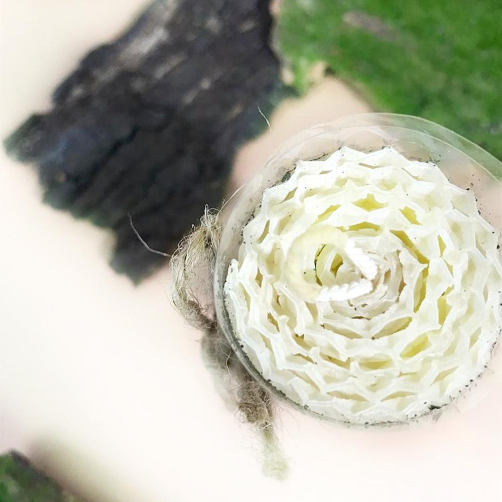 Свеча из вощины с Календулой 13 см