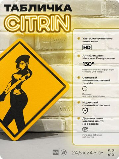 Табличка декоративная "Джилл Валентайн, Resident Evil" на дверь и стену, прикольная штука в подарок геймеру, декоративный знак, 24,5х24,5 см, Айдентика Технолоджи