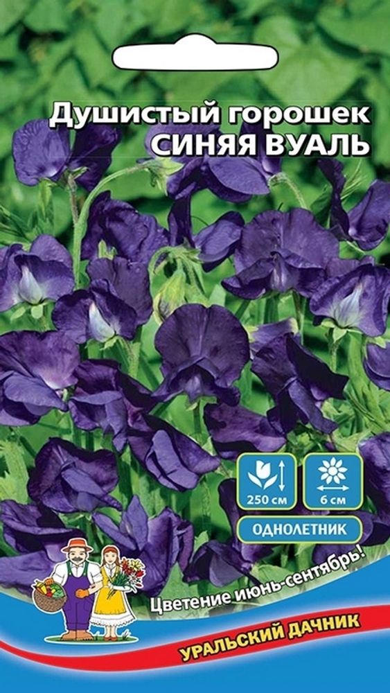 Горошек душистый &quot;G. Синяя вуаль&quot; 10шт., Россия.