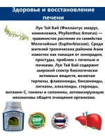 Экстракт Лук Тай Бай для очищения печени и почек